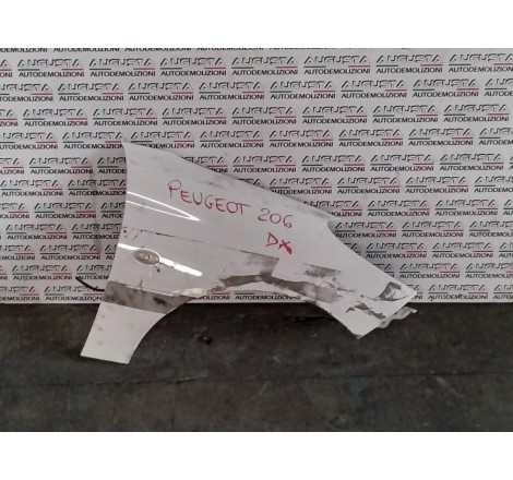 Peugeot 206 parafango destro