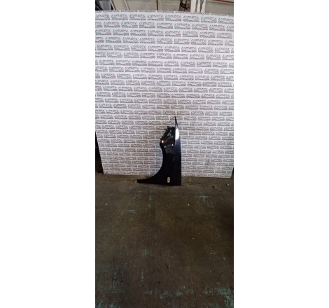 Seat Ibiza 2009 parafango...