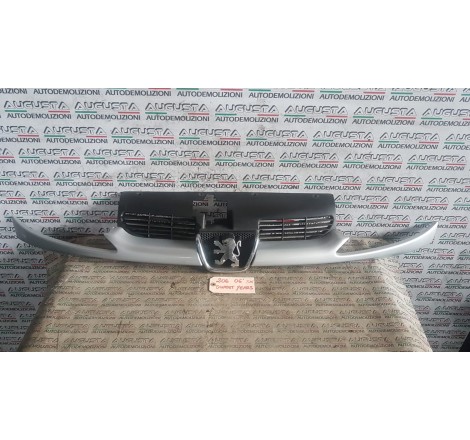 Baffo Sottocofano Peugeot 206