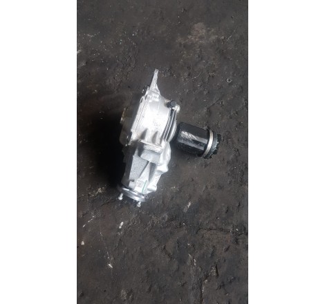 A206331005 Differenziale...