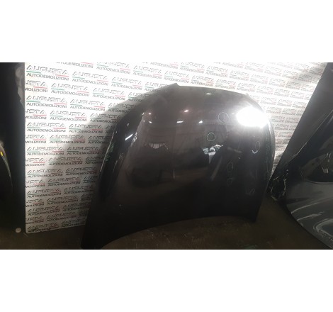Cofano Seat Ibiza 2009