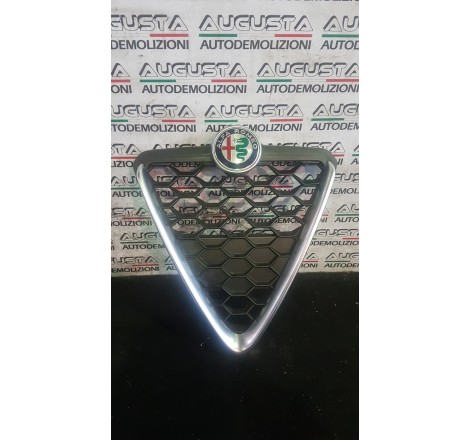 griglia paraurti anteriore...