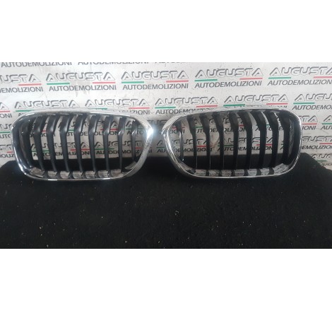 griglia paraurti anteriore...