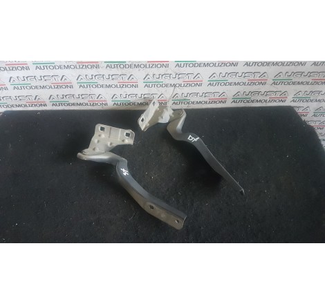 cerniere cofano nissan...